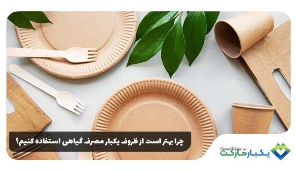 ظروف یکبار مصرف گیاهی 01