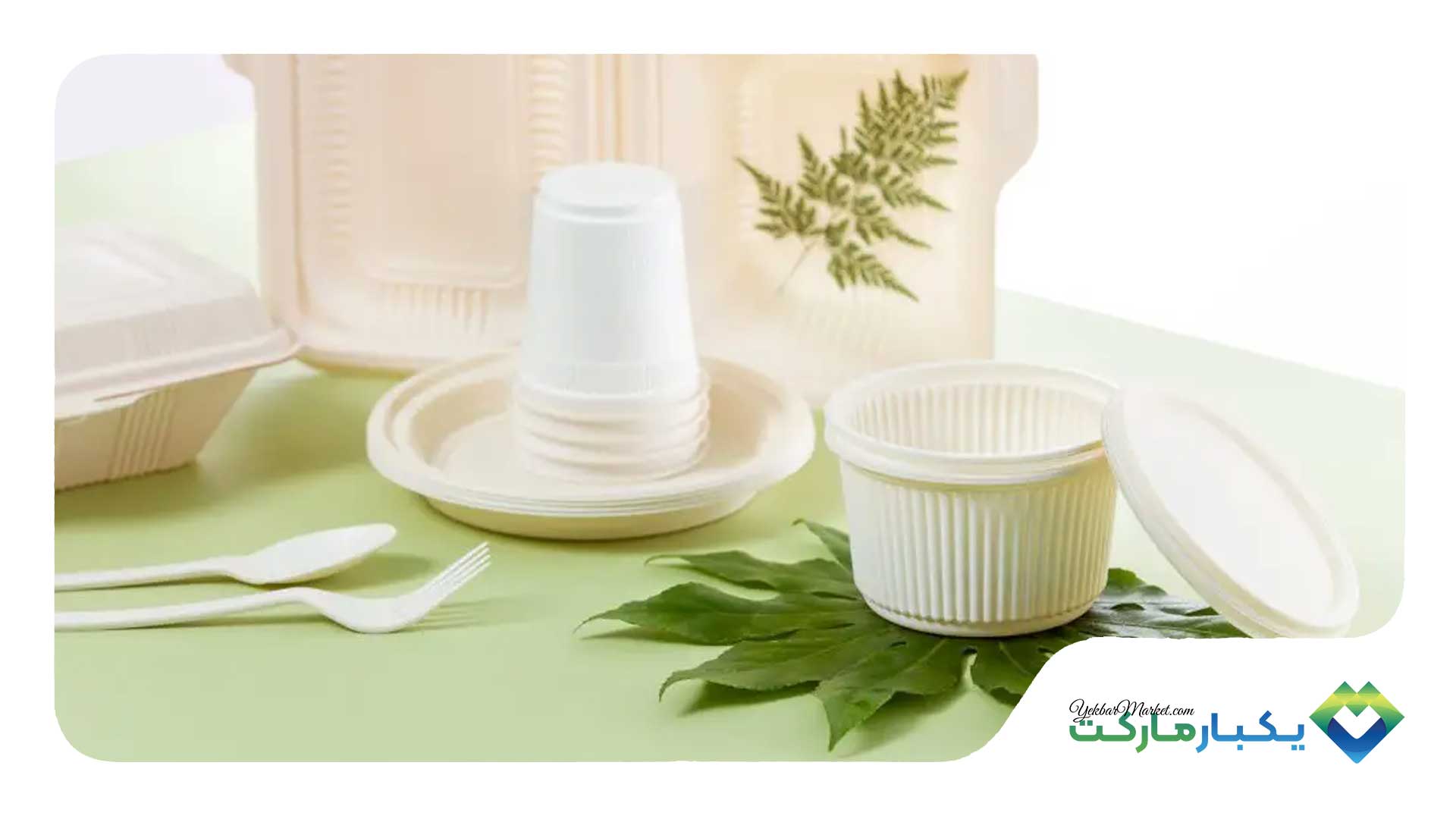 ظروف یکبار مصرف 05